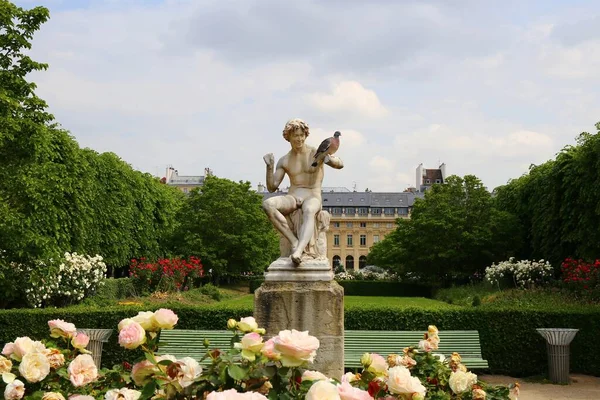 Прекрасный Розовый Сад Palais Royal Париже — стоковое фото