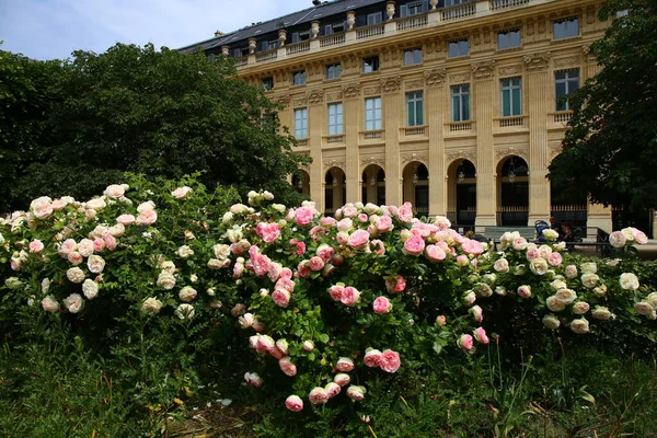 파리에 로얄의 아름다운 — 스톡 사진