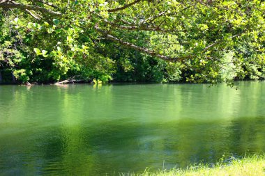Fransa 'nın büyüleyici köyü Samois-sur-Seine