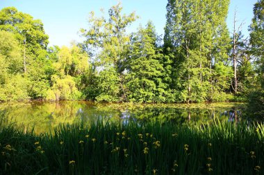 Fransa 'nın büyüleyici köyü Samois-sur-Seine