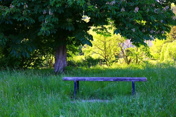 Das Charmante Dorf Samois Sur Seine Frankreich — Stockfoto