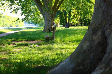 Fransa 'nın büyüleyici köyü Samois-sur-Seine
