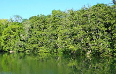 Fransa 'nın büyüleyici köyü Samois-sur-Seine