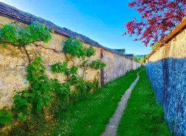 Thothe 'da şarap yapmanın geleneksel yolu, Les Long Sillon.