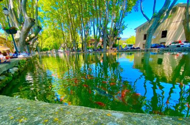 Göletli Cucuron 'un merkezi ve devasa ağaçlar.