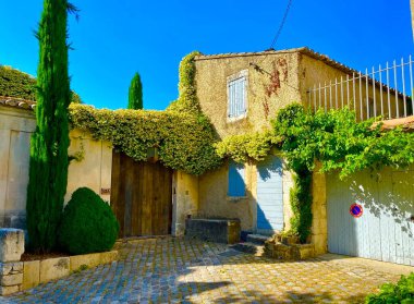 Luberon, Meberbes 'deki güzel yasemin çiçekleri.