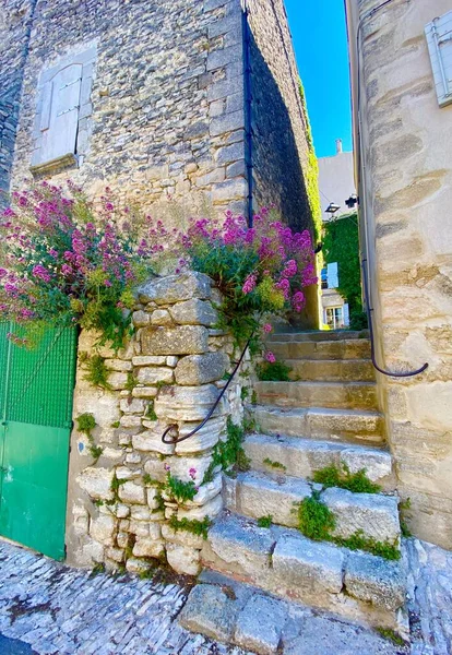 Vieux Village Saignon Luberon — Photo