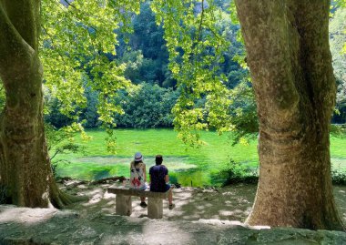 Fransa 'nın güneyindeki Fontaine de Vaucluse' da güzel bir nehir.