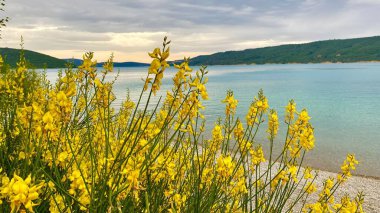 Verdon 'daki Sainte-Croix Gölü manzarası.