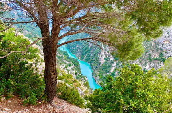 Blick Über Die Gorge Verdon — Stockfoto