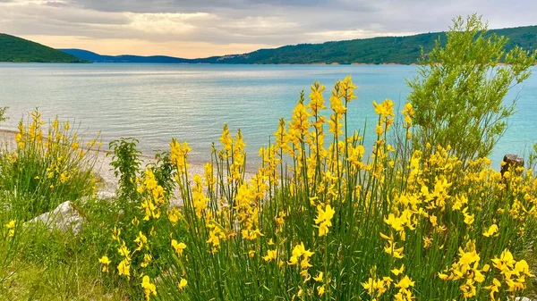 Salles sur Verdon 'daki Sainte-Croix Gölü manzarası.