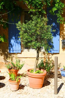 Saignon - Luberon bölgesindeki Fransa 'nın en güzel köylerinden biri.