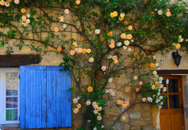 Provence 'deki büyüleyici Ansouis köyü.