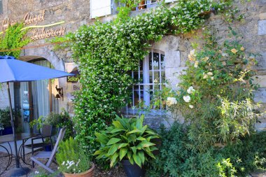 Luberon 'daki büyüleyici tünemiş Menerbes köyü.