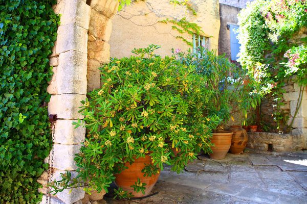 The charming perched village of Bonnieux in the area of Luberon in the south of France