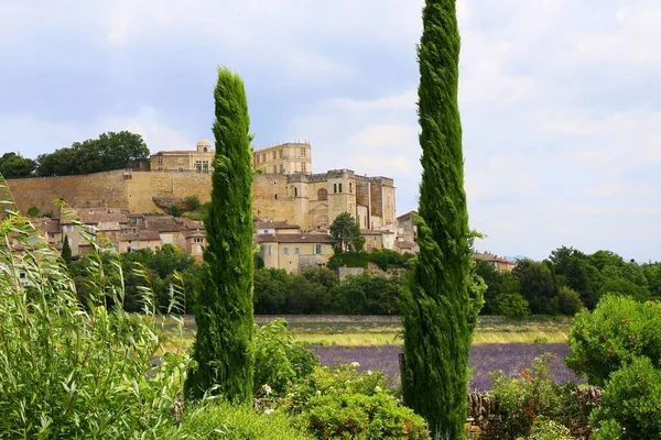 Widok Zamek Grignan Francji — Zdjęcie stockowe