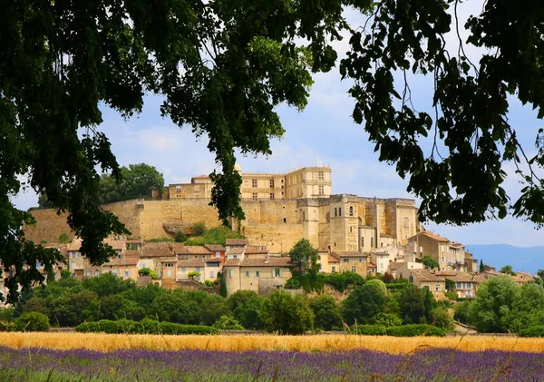 Vista Para Castelo Grignan Partir Campo Lavanda — Fotografia de Stock