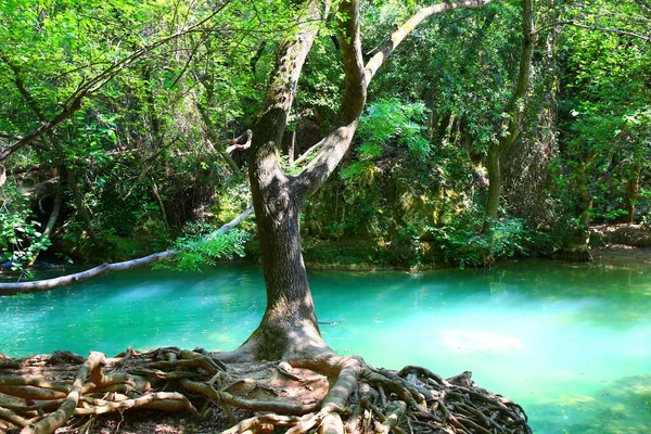 Fransa Nın Güneyindeki Şelale Şelalesi Nin Adı Şelale Şelalesi — Stok fotoğraf