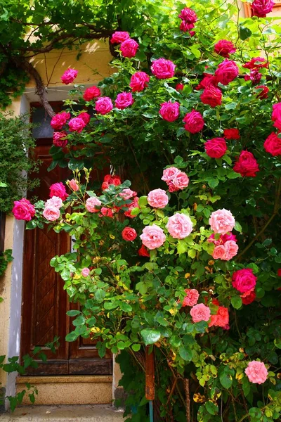 Las Hermosas Flores Rosas Moustiers Verdon — Foto de Stock