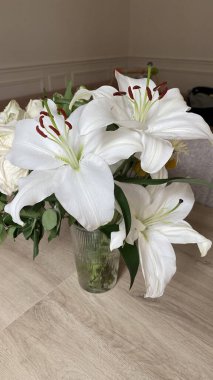 Çiçek açmış güzel beyaz zambak çiçekleri