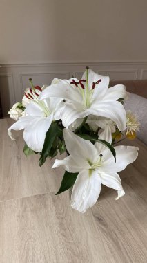 Çiçek açmış güzel beyaz zambak çiçekleri