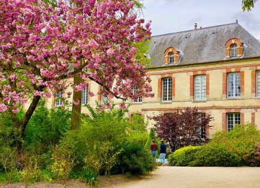 Fontainebleau şatosunun yanındaki parkta kiraz çiçeği