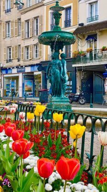 Fransa 'nın Fontainebleau şehrinde güzel laleler çiçek açıyor.