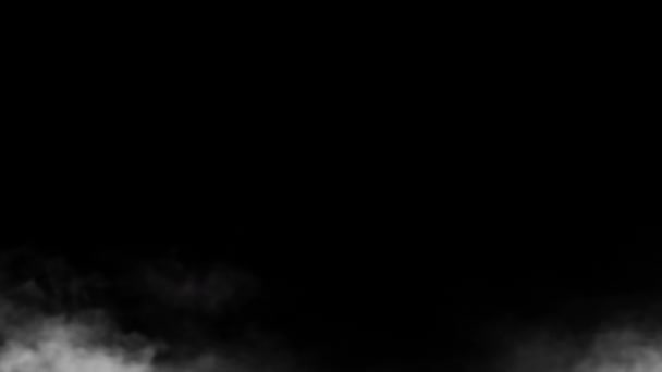 Хрусткий Холодний Пар Або Дим Свіжа Пилова Анімація Дике Туманне — стокове відео