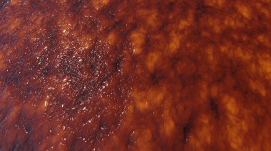 Soyut organik ıslak balçık, biyolojik madde geçmişi. Çamurlu bir perde gibi görünen et.