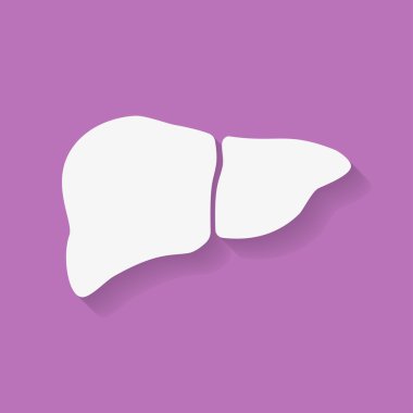 Simge insan karaciğer. Düz stil