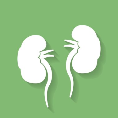 İnsan böbrekler simgesi. Düz stil