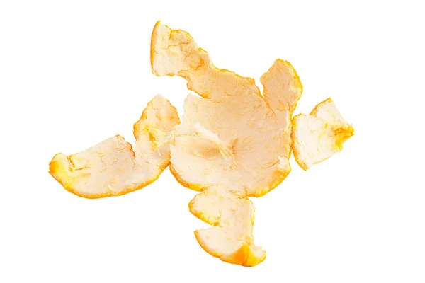 Narancs héja, fehér háttér — Stock Fotó