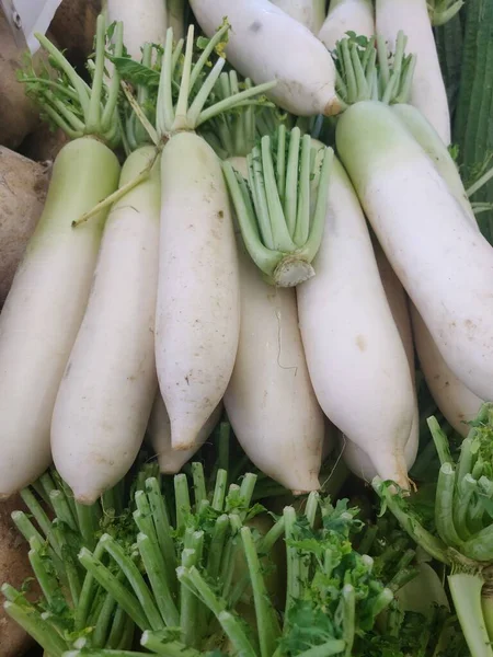 Daikon También Conocido Como Rábano Blanco Rábano Japonés Rábano Chino — Foto de Stock