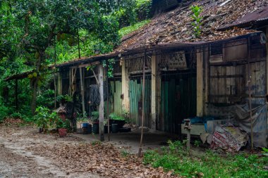KAMPUNG KUCHAI, MALAYSIA - 21 Mayıs 2017: Yıpranmış, terk edilmiş bir ahşap atölye yapısı tropikal bitki örtüsünün ortasında duruyor.