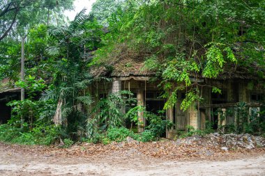 KAMPUNG KUCHAI, MALAYSIA - MAY 21, 2017: A derelict heritage building is almost entirely consumed by thick tropical vines and encroaching forest vegetation.