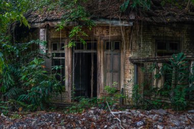 KAMPUNG KUCHAI, MALAYSIA - 21 Mayıs 2017: Terkedilmiş bir miras binası neredeyse tamamen yoğun tropikal sarmaşıklar ve çiğneyen orman bitkileri tarafından tüketiliyor.