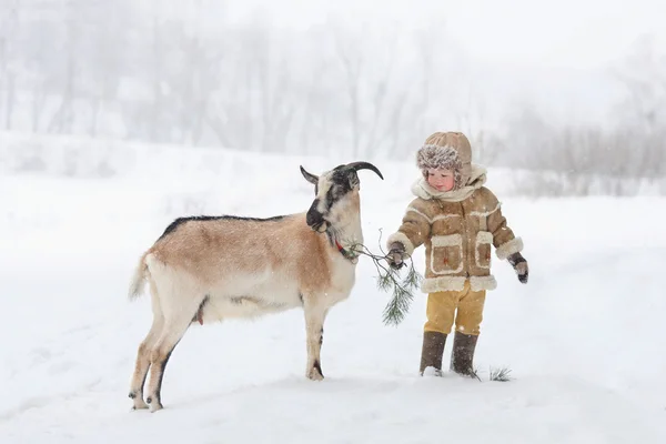 Çocuk keçi ile — Stok fotoğraf