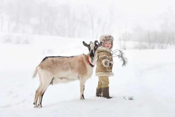 Niño con una cabra — Foto de Stock