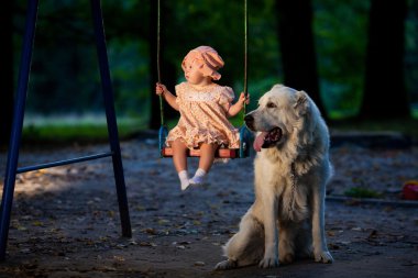 Bebek ve köpek