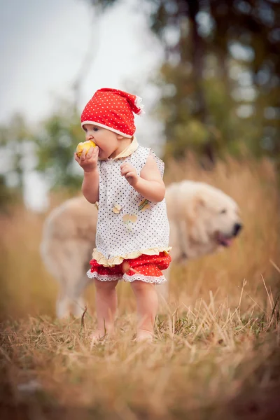 Klein kind en grote hond — Stockfoto