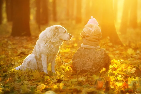 Kind und Hund im märchenhaften Herbstwald — Stockfoto