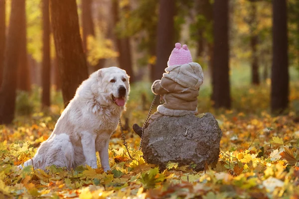 Barn och hund i skogen höst — Stockfoto