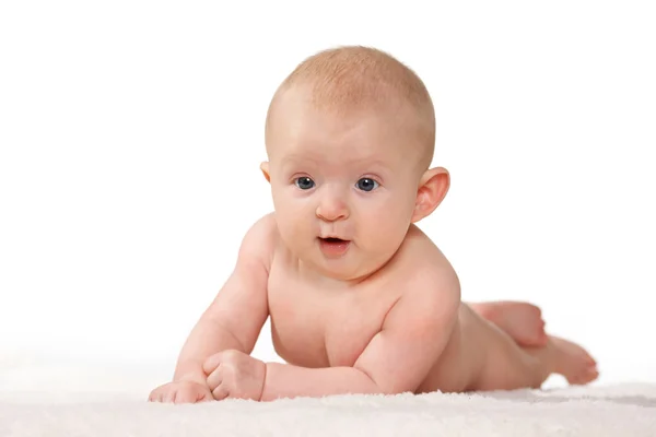 3 month baby Stock Image