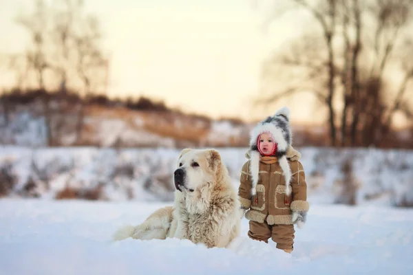 Un niño está junto a un perro grande — Foto de Stock