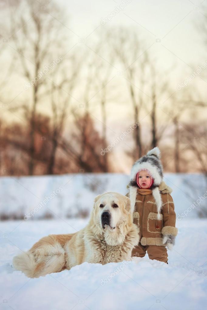 A Child Stands Next To A Large Dog Stock Photo C Zarraza79