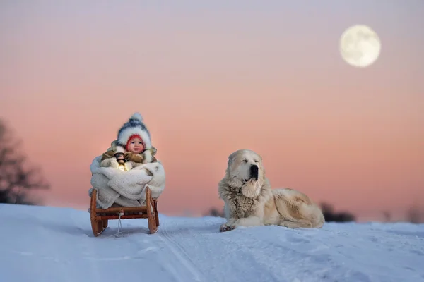 Çocuk ve köpek — Stok fotoğraf