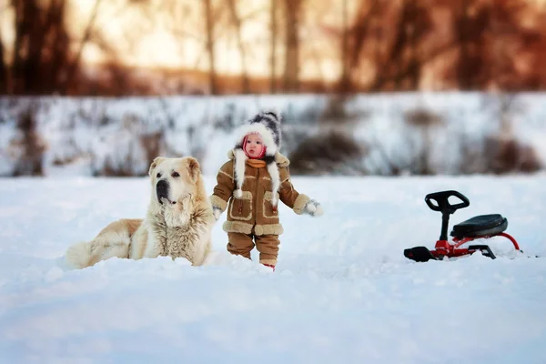 Un niño está junto a un perro grande — Foto de Stock