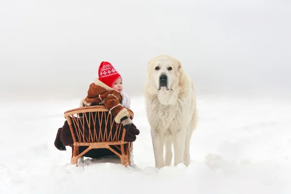 Çocuk ve köpek — Stok fotoğraf