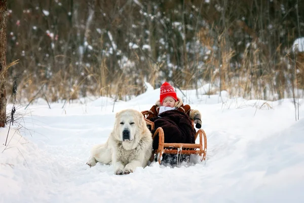 Kind und Hund — Stockfoto