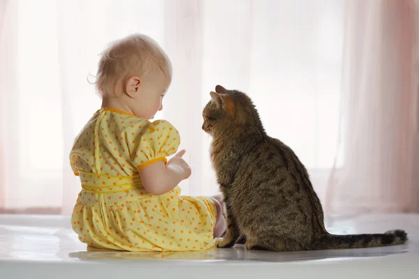 Дитина сидить з кішкою — стокове фото